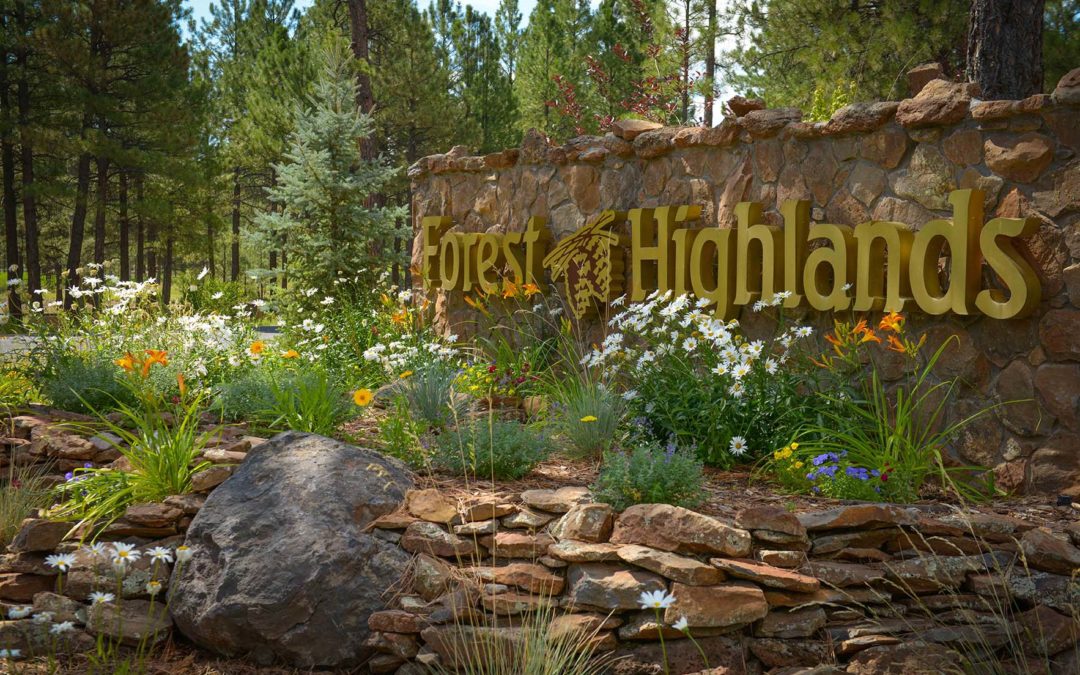 Forest Highlands Foundation Named Organization of the Year!