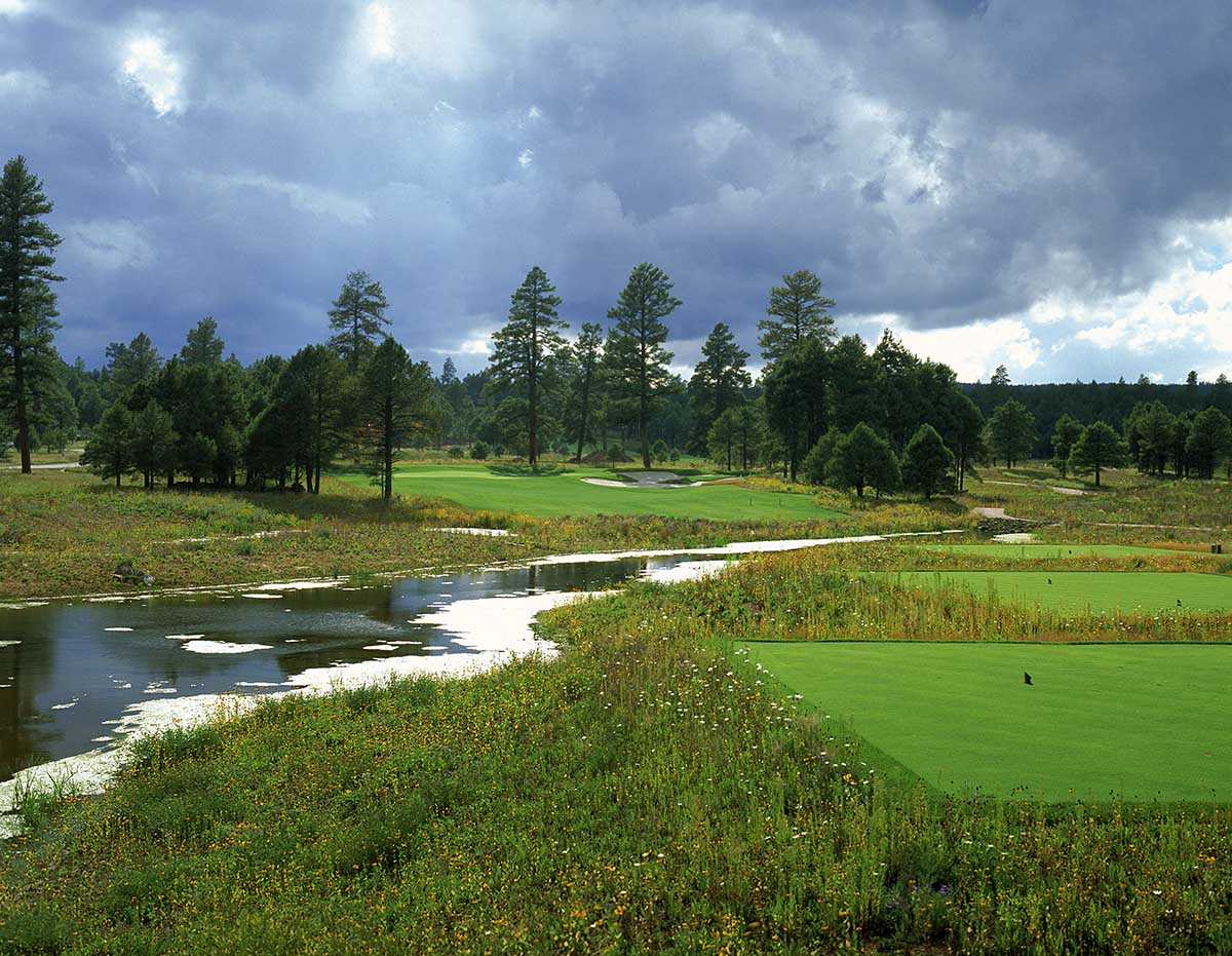 Meadow View Course