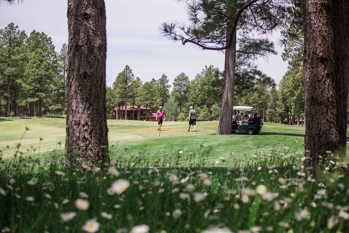 2017 couples tourney55_canyon Canyon Course