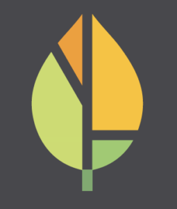 Vivid Leaf Logo
