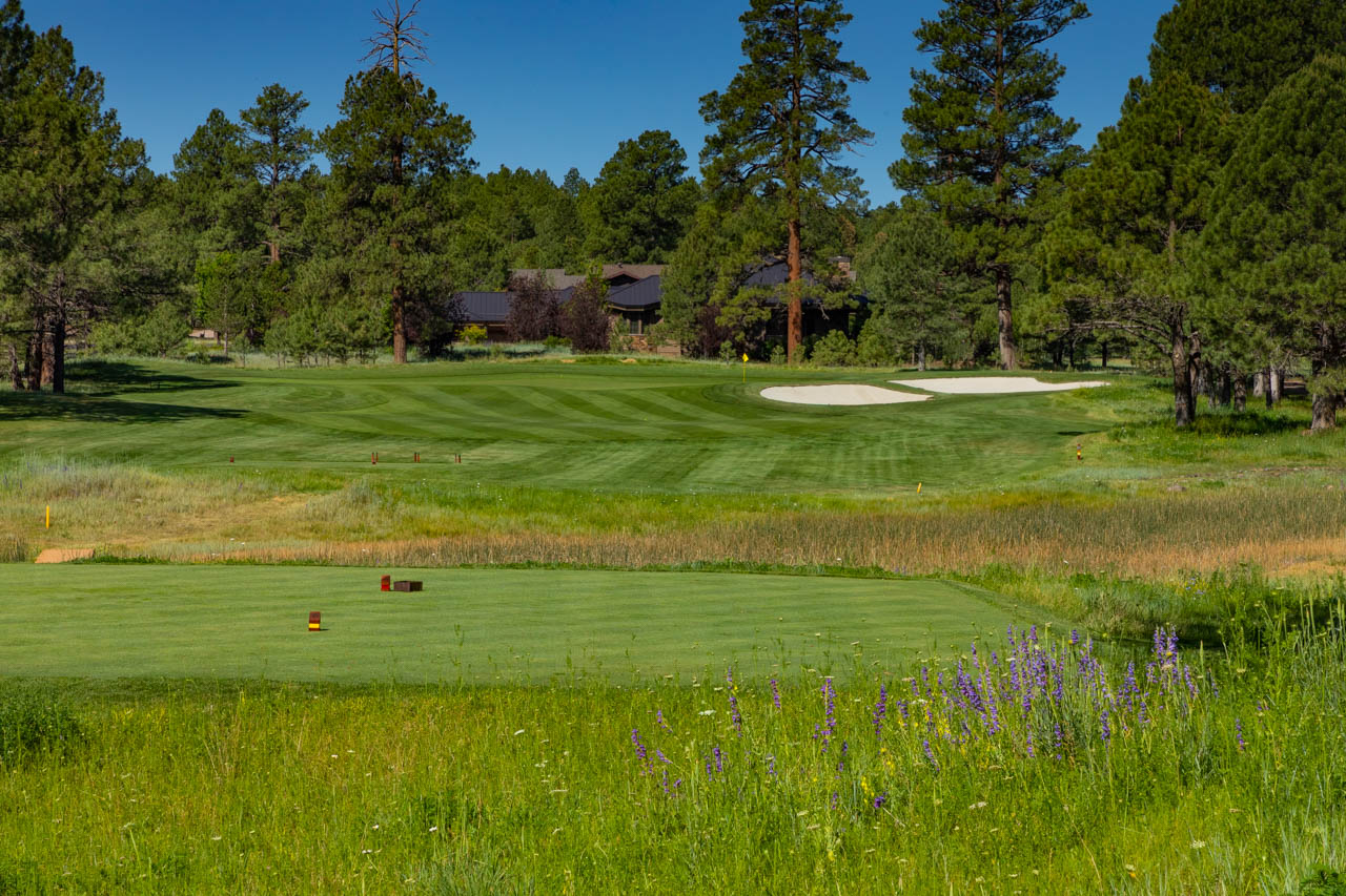 _X3A0631 Meadow View Course